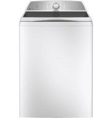 GE:PTW600BSRWS